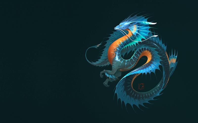 dragon, fantasy animal