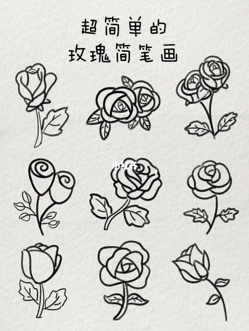 玫瑰花束简笔画简单漂亮图片