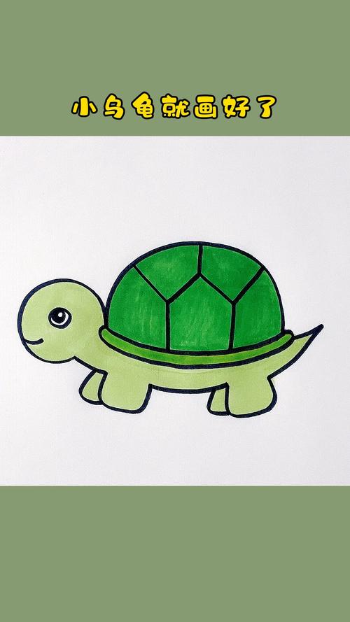 小乌龟简笔画 简单 可爱 图文