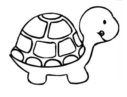 儿童简笔画系列小乌龟的画法