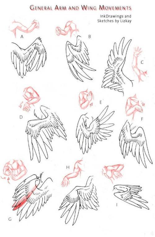 翅膀简笔画教程步骤图片天使恶魔翅膀简笔画翅膀怎么画好看又简单简笔