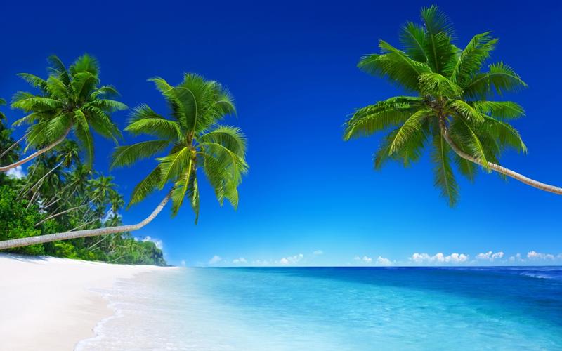 蓝色大海天空热带海洋沙滩棕榈树5k风景壁纸