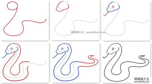 蛇的画法_图文教程-简笔画大全