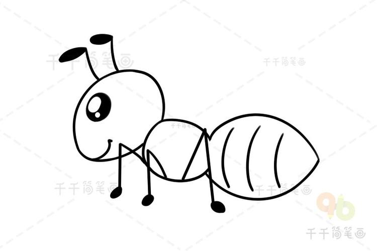 蚂蚁简笔画画法介绍