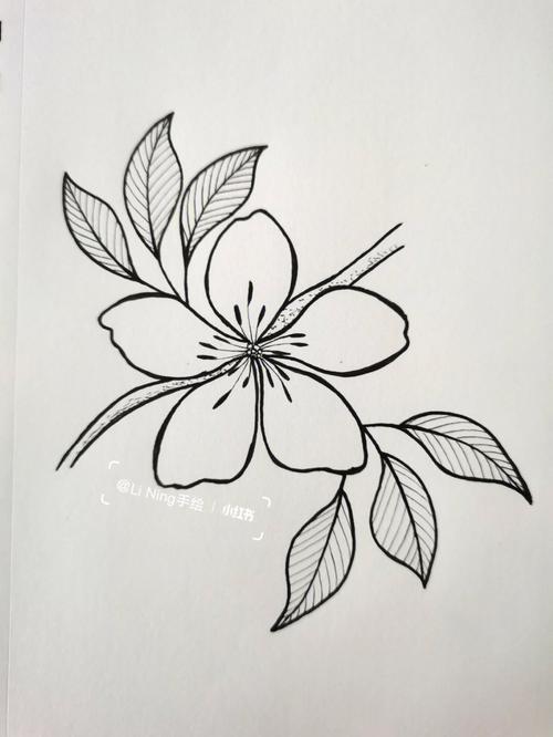 花卉简笔画简单又漂亮