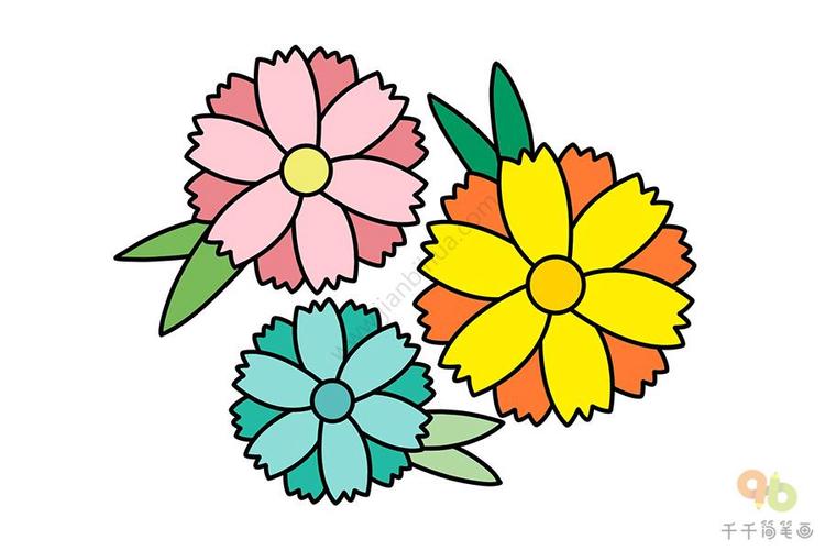 植物简笔画彩色花朵