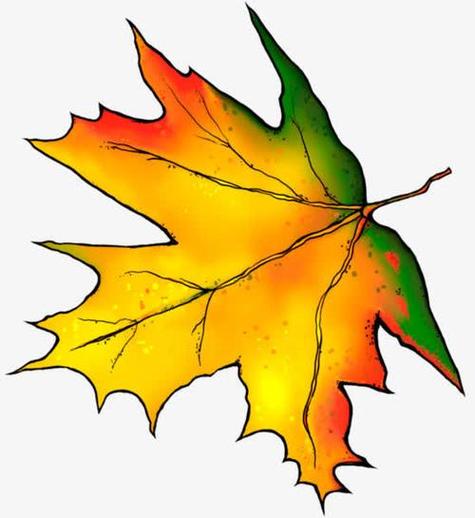 秋天带颜色的树叶简笔画 简笔画图片大全-普车都