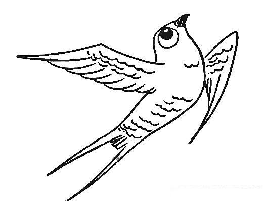 小燕子在天空中飞翔的简笔画