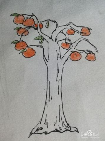 柿子树怎么画儿童简笔画
