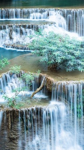 壁纸 瀑布,灌木,自然风光 2560x1440 qhd 高清壁纸, 图片, 照片