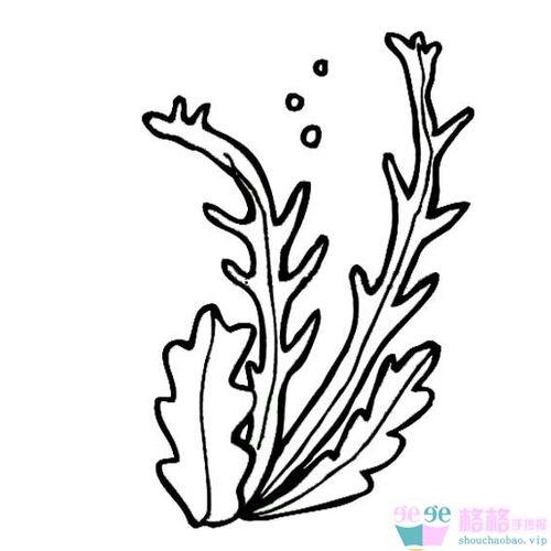 海里植物简笔画