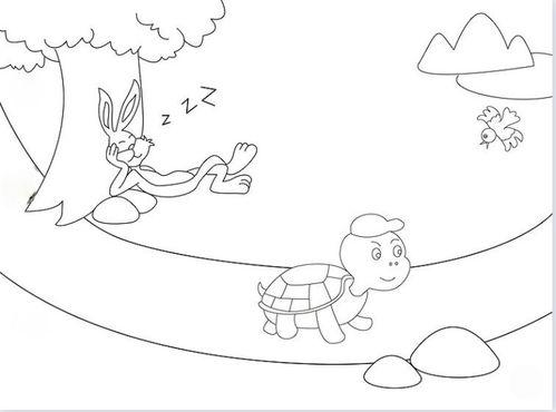 龟兔赛跑绘本5张英语简笔画