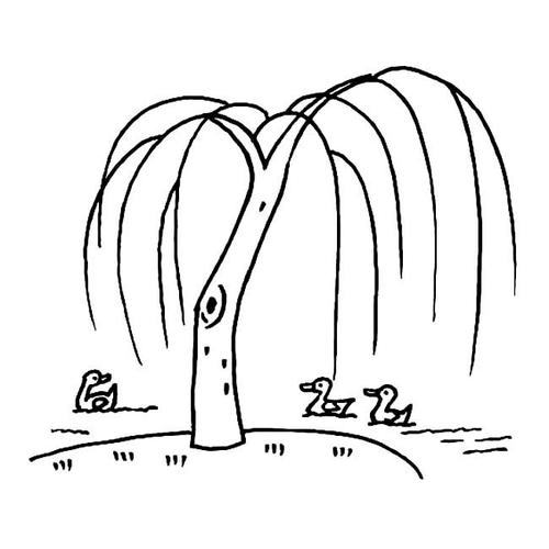 柳树植物简笔画