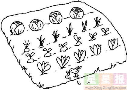 田园里的蔬菜简笔画