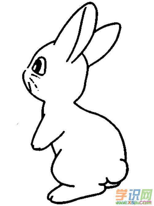 兔子的尾巴怎么画简笔画图片