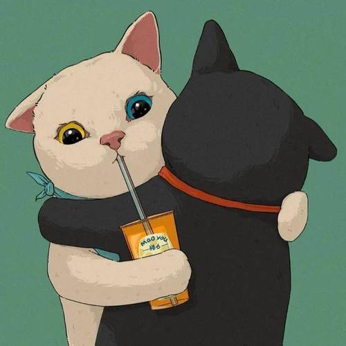 猫右 卡通猫咪情侣头像 可爱猫咪头像_动漫_剪辑_二次元