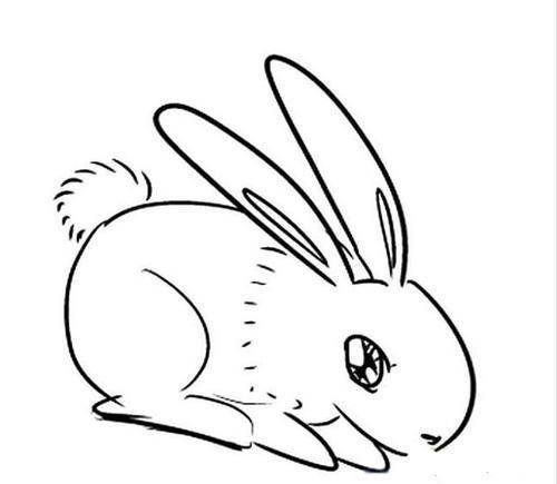 兔子小朋友的简笔画图片大全图片大全图片(儿童简笔画兔子的图片大全)