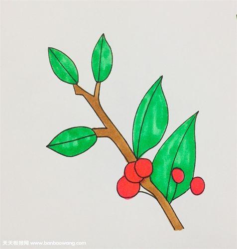 儿童简笔画大全彩色 植物