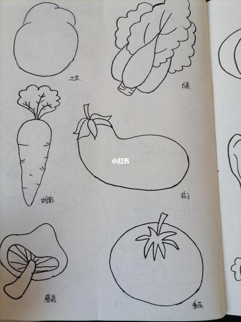 蔬菜简笔画大全最简单图片