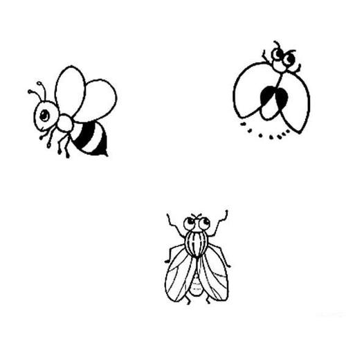 简笔画怎么画昆虫和自己