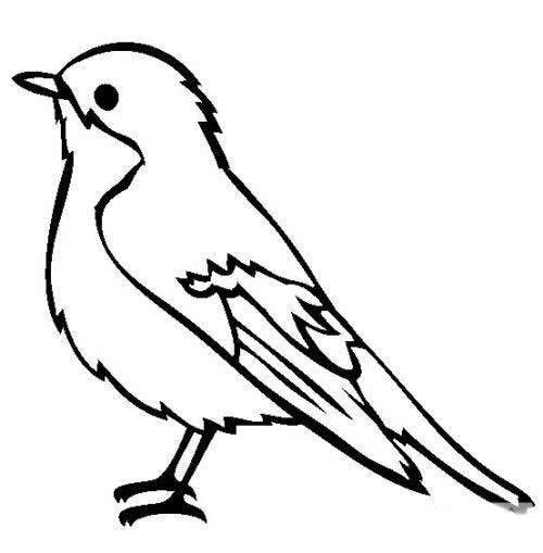 小鸟简笔画图片大全_超简单的鸟儿简笔画图片素材小鸟简笔画详细步骤
