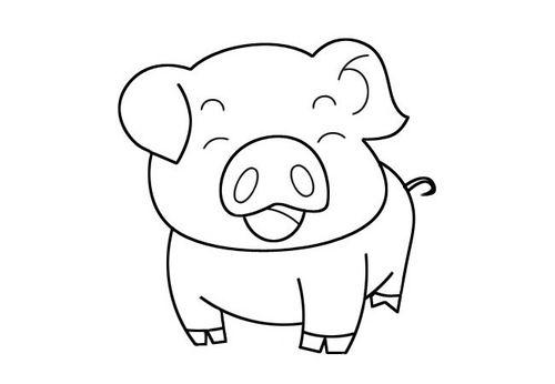 小猪的简笔画小猪的简笔画可爱