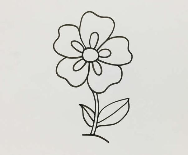 简笔画图片大全花草类花的画法简单又漂亮