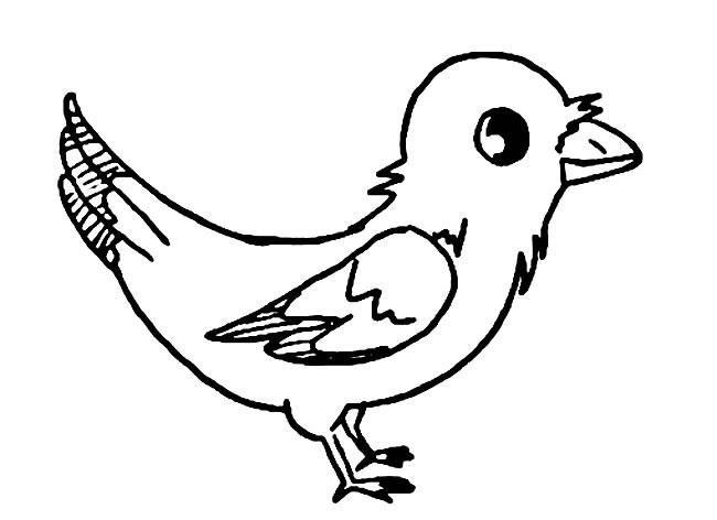 小鸟简笔画图片小鸟简笔画图片内容包含相关动物简笔画栏目里的 小鸟