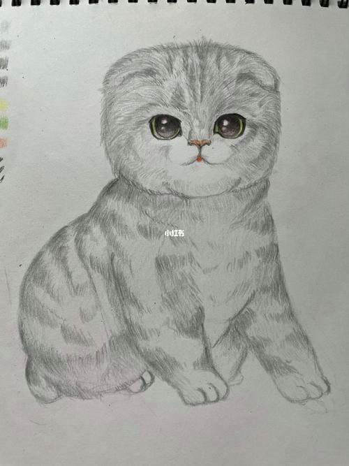 猫素描简笔画 简单
