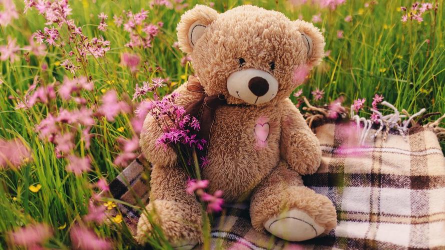 花丛里的泰迪熊图片,4k高清其它图片,娟娟壁纸