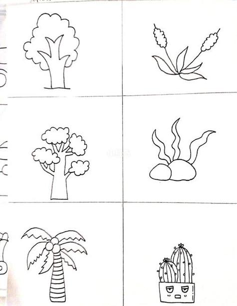 校园里的植物简笔画科学