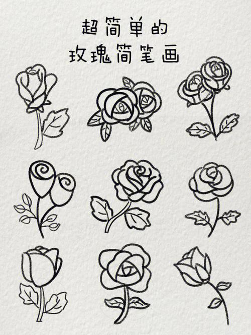 超简单的玫瑰花简笔画一起来画吧