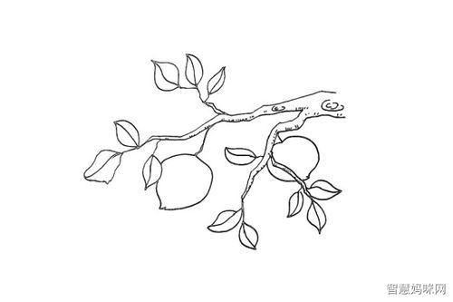 桃树的简笔画简单又漂亮简便