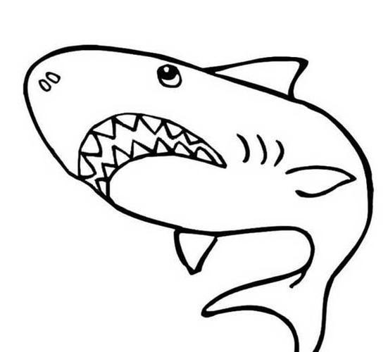 儿童简笔画大鲨鱼