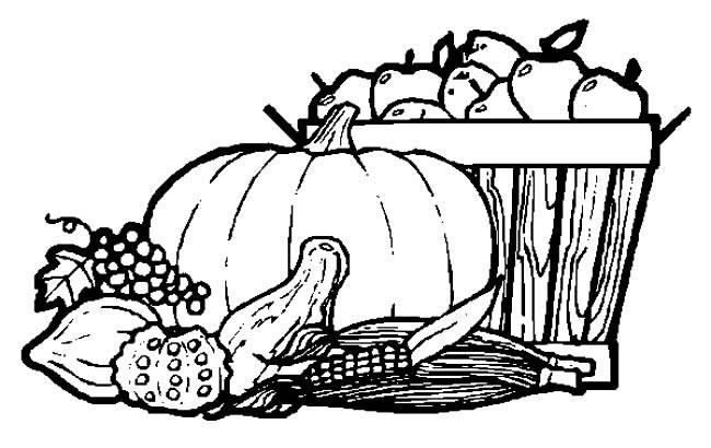 秋天的蔬菜和农作物简笔画