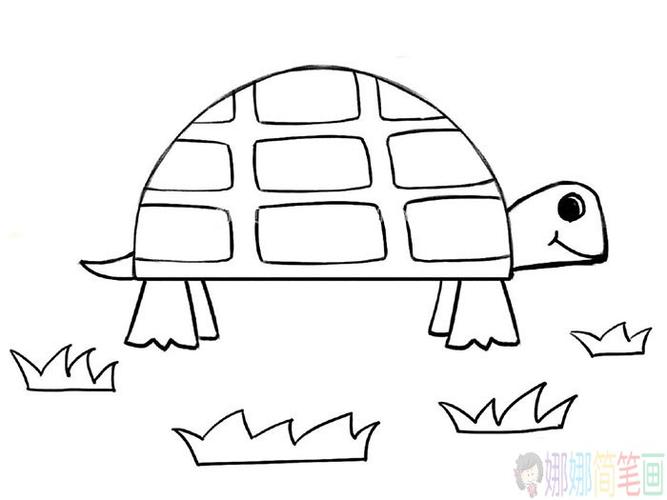 乌龟简笔画场景图