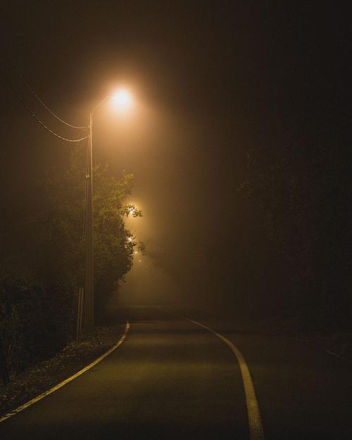 道路,夜色,雾气及路灯房