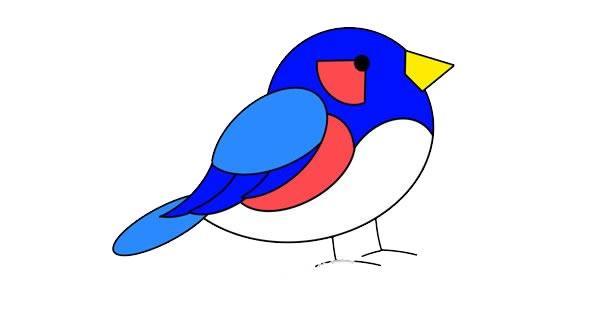 鸟类动物简笔画彩色