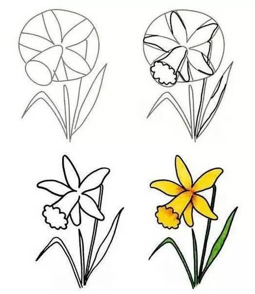 儿童简笔画:花儿朵朵开,向日葵等十几款小花的绘画教程,孩子都能学