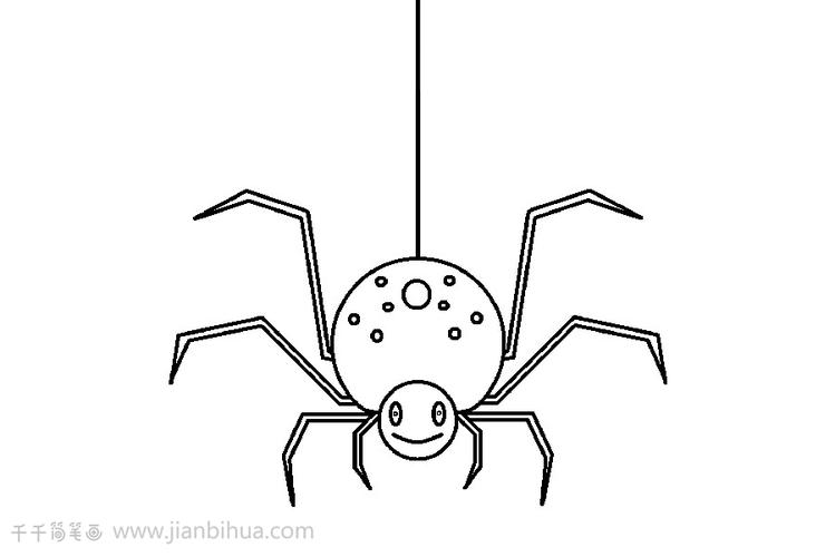 特别简单的蜘蛛简笔画