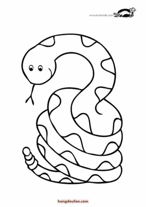 5张花蛇蟒蛇卡通儿童简笔画蛇的涂色图片