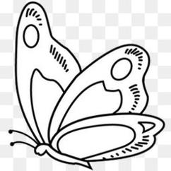 大孔雀蝶的简笔画 大孔雀蝶的简笔画图片
