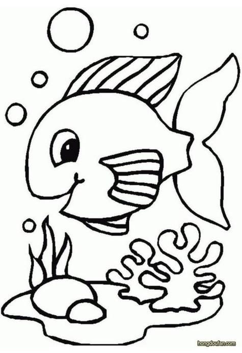 海底世界的小鱼珊瑚贝壳水草和小泡泡简笔画大全