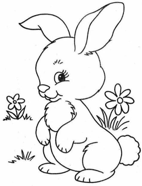 兔子的简笔画动物画法步骤