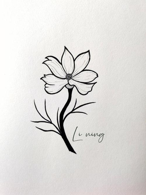 花卉画法简笔画