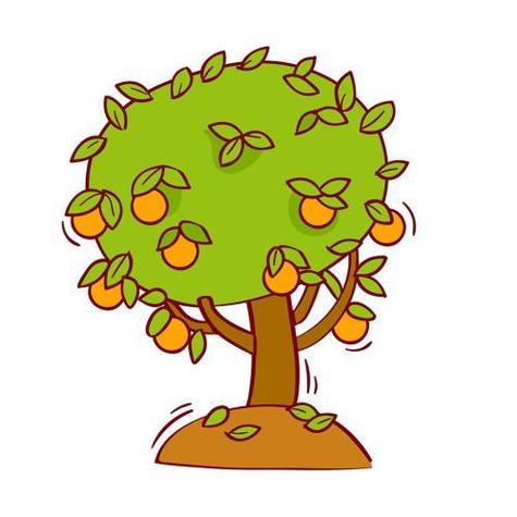 橘子树卡通简笔画