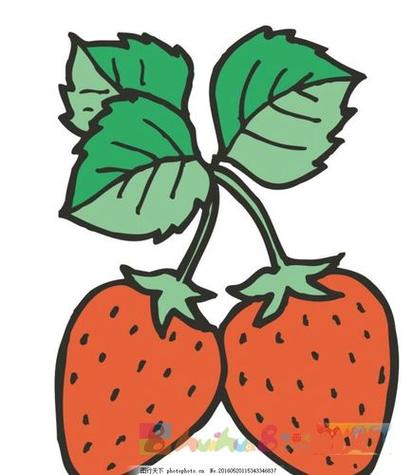 草莓的生长过程简笔画有颜色