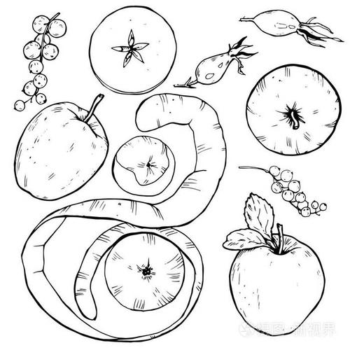 苹果设置, 水果全切切成片, 浆果和香料, 黑白矢量插图插画-正版商用