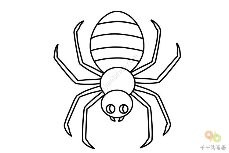 小蜘蛛简笔画简单又好看打印
