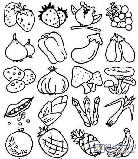 100种蔬菜图片大全简笔画